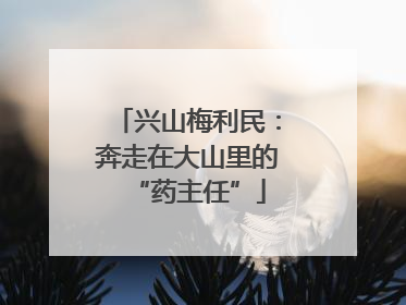兴山梅利民：奔走在大山里的“药主任”