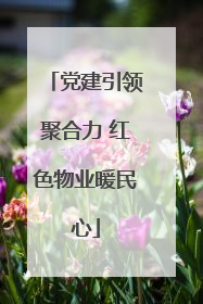 党建引领聚合力 红色物业暖民心