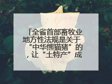 全省首部畜牧业地方性法规是关于“中华熊猫猪”的，让“土特产”成为“新国潮”，让“农产品”升格为“城市IP”