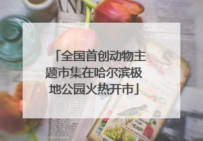 全国首创动物主题市集在哈尔滨极地公园火热开市
