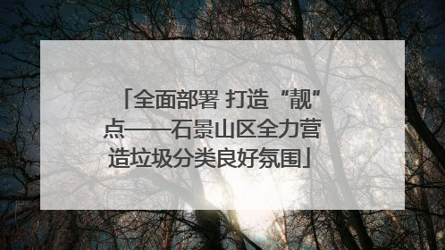 全面部署 打造“靓” 点——石景山区全力营造垃圾分类良好氛围