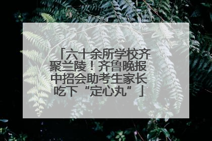 六十余所学校齐聚兰陵！齐鲁晚报中招会助考生家长吃下“定心丸”