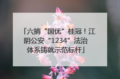 六摘“国优”桂冠！江阴公安“1234”法治体系铸就示范标杆