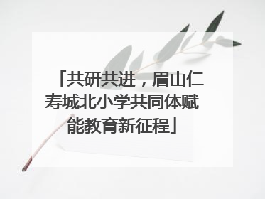 共研共进，眉山仁寿城北小学共同体赋能教育新征程