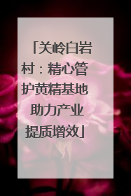 关岭白岩村：精心管护黄精基地 助力产业提质增效