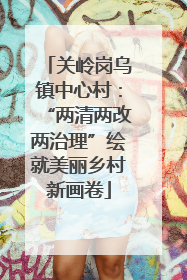 关岭岗乌镇中心村：“两清两改两治理”绘就美丽乡村新画卷