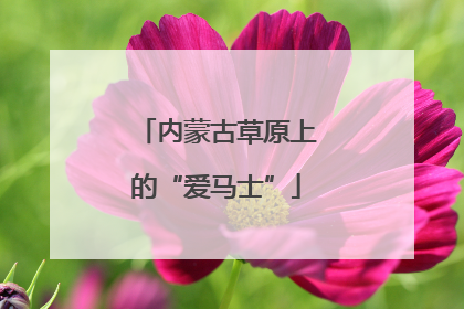 内蒙古草原上的“爱马士”