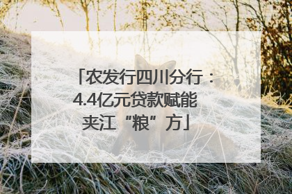 农发行四川分行：4.4亿元贷款赋能夹江“粮”方