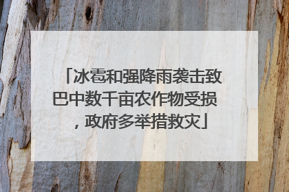 冰雹和强降雨袭击致巴中数千亩农作物受损，政府多举措救灾
