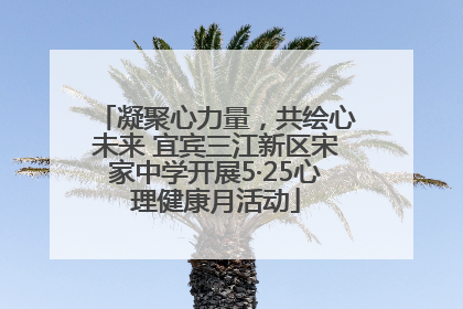 凝聚心力量，共绘心未来 宜宾三江新区宋家中学开展5·25心理健康月活动