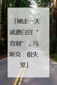 刚走一天就遭白宫“背刺”，马斯克：很失望