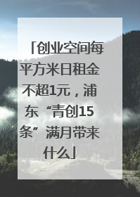 创业空间每平方米日租金不超1元，浦东“青创15条”满月带来什么