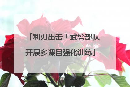 利刃出击！武警部队开展多课目强化训练