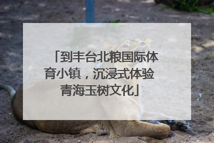 到丰台北粮国际体育小镇，沉浸式体验青海玉树文化