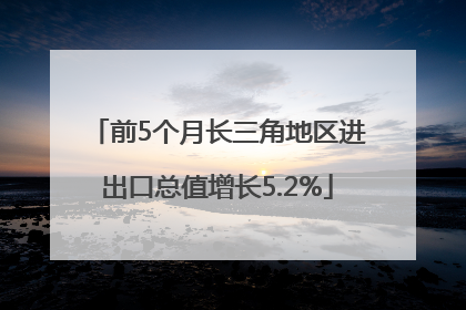 前5个月长三角地区进出口总值增长5.2%
