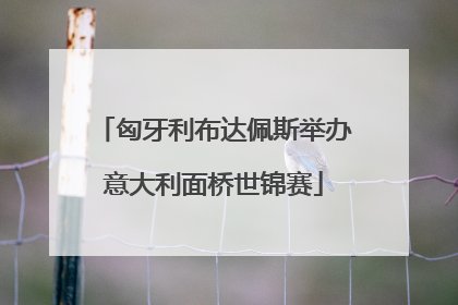 匈牙利布达佩斯举办意大利面桥世锦赛