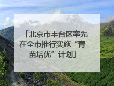 北京市丰台区率先在全市推行实施“青苗培优”计划