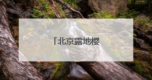 北京露地樱桃产量锐减