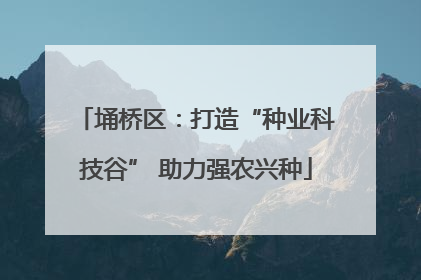 埇桥区：打造“种业科技谷” 助力强农兴种