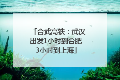 合武高铁：武汉出发1小时到合肥3小时到上海