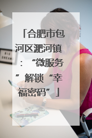 合肥市包河区淝河镇：“微服务”解锁“幸福密码”