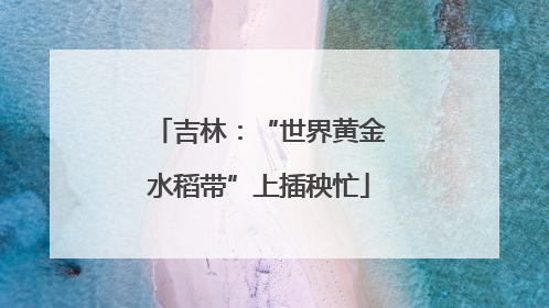 吉林：“世界黄金水稻带”上插秧忙