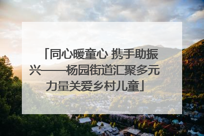 同心暖童心 携手助振兴——杨园街道汇聚多元力量关爱乡村儿童