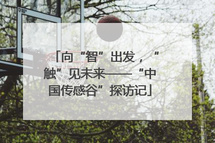 向“智”出发，“触”见未来——“中国传感谷”探访记