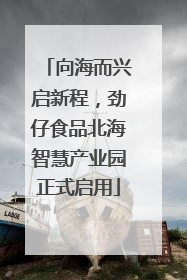 向海而兴启新程，劲仔食品北海智慧产业园正式启用