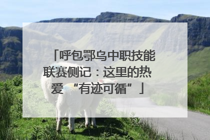 呼包鄂乌中职技能联赛侧记：这里的热爱 “有迹可循”