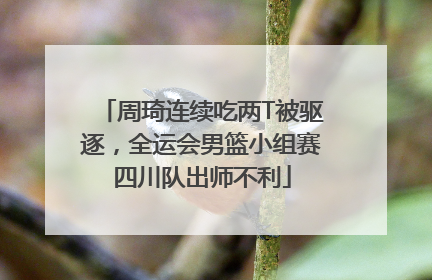 周琦连续吃两T被驱逐，全运会男篮小组赛四川队出师不利