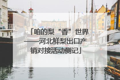 咱的梨“香”世界——河北鲜梨出口产销对接活动侧记