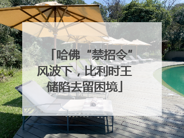 哈佛“禁招令”风波下，比利时王储陷去留困境