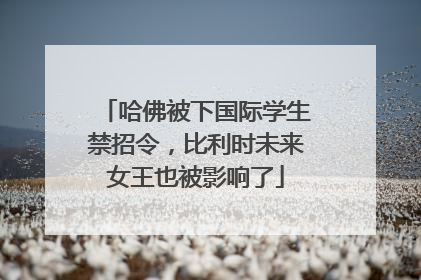 哈佛被下国际学生禁招令，比利时未来女王也被影响了