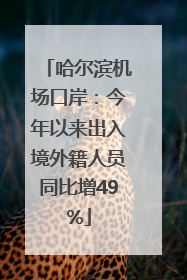 哈尔滨机场口岸：今年以来出入境外籍人员同比增49%
