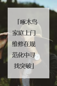 啄木鸟家庭上门维修在规范化中寻找突破