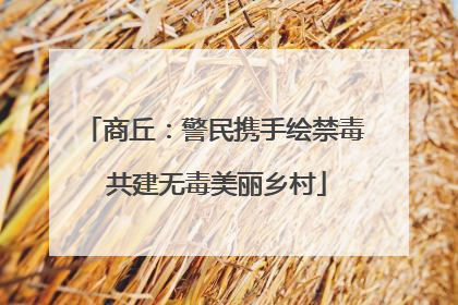 商丘：警民携手绘禁毒 共建无毒美丽乡村