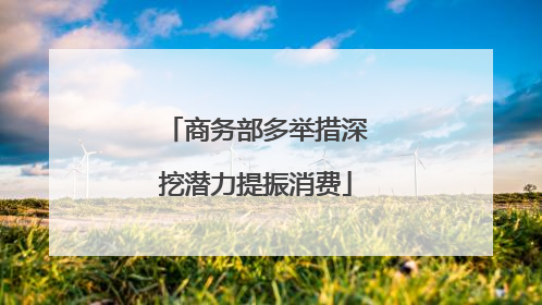 商务部多举措深挖潜力提振消费