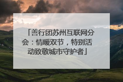 善行团苏州互联网分会：情暖双节，特别活动致敬城市守护者