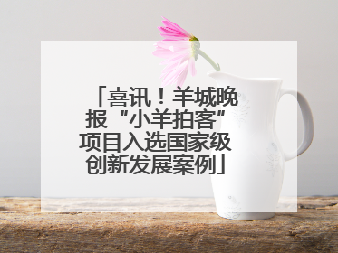 喜讯！羊城晚报“小羊拍客”项目入选国家级创新发展案例