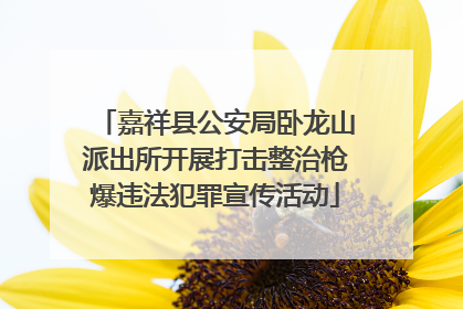 嘉祥县公安局卧龙山派出所开展打击整治枪爆违法犯罪宣传活动