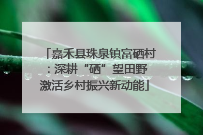 嘉禾县珠泉镇富硒村：深耕“硒”望田野 激活乡村振兴新动能