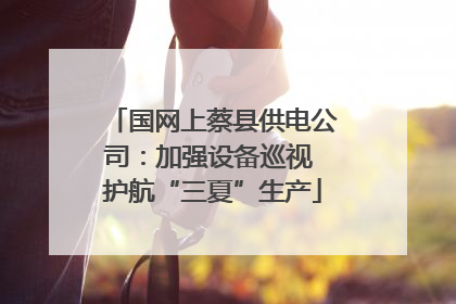 国网上蔡县供电公司：加强设备巡视 护航“三夏”生产