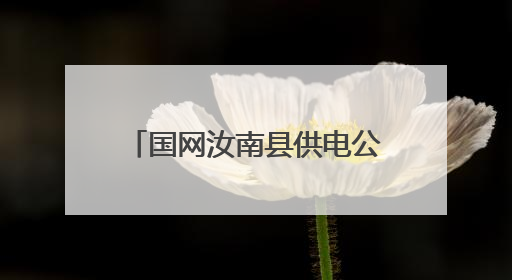 国网汝南县供电公司：开展安全生产月“五进”活动