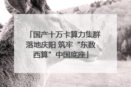 国产十万卡算力集群落地庆阳 筑牢“东数西算”中国底座