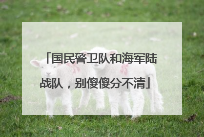 国民警卫队和海军陆战队，别傻傻分不清