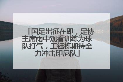 国足出征在即，足协主席雨中观看训练为球队打气，王钰栋期待全力冲击印尼队
