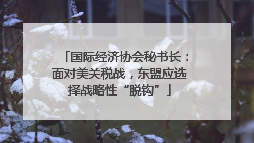 国际经济协会秘书长：面对美关税战，东盟应选择战略性“脱钩”