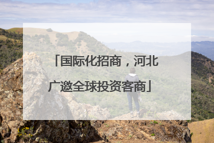 国际化招商，河北广邀全球投资客商