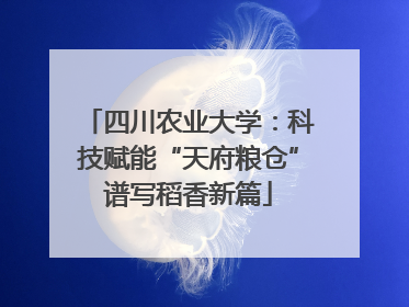 四川农业大学：科技赋能“天府粮仓”谱写稻香新篇